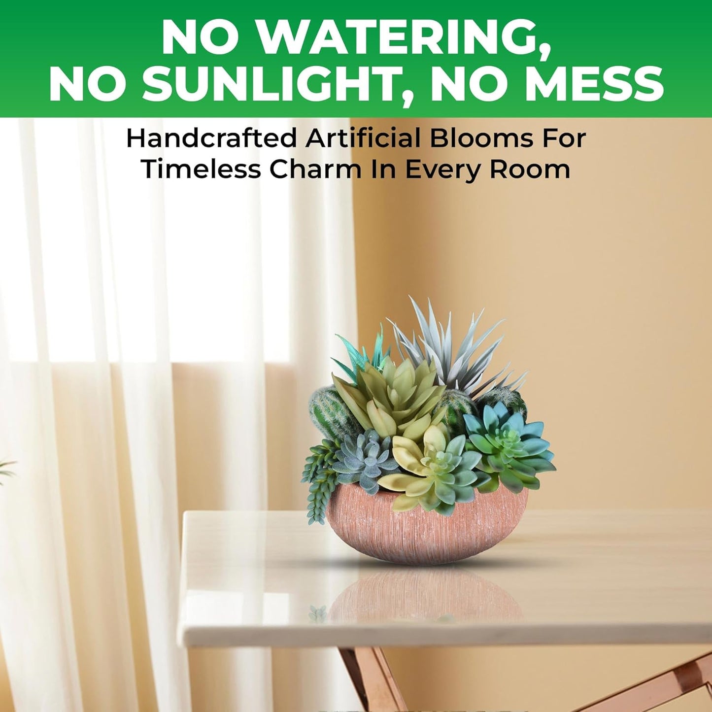 Premium Assorted Artificial Succulent Collection - Large Real Touch Artificial Cactus, Aloe Vera & Succulent Plants Artificial with Pots for Home Office Indoor (Artificial Coconut Shell - Pot)
