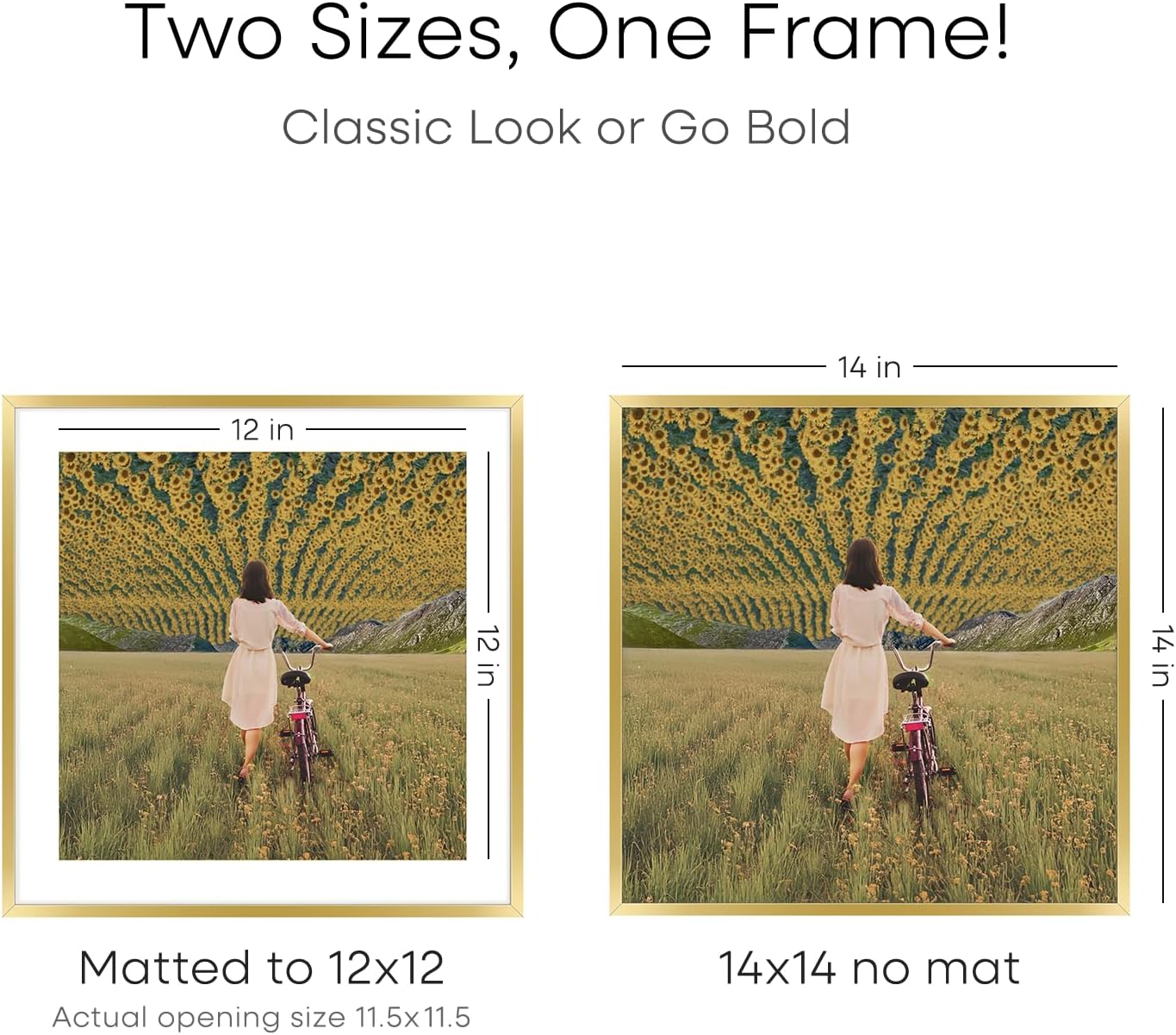 Homeforia 14x14 Picture Frame Gold, High End Metal 14 x 14 Square Poster Frame with Mat 12 x 12 Photo, 14x14 Frame Matted to 12x12 Print, 14by14 Gold Hanging Frames, Tempered Glass, Wall Kit, Set of 1