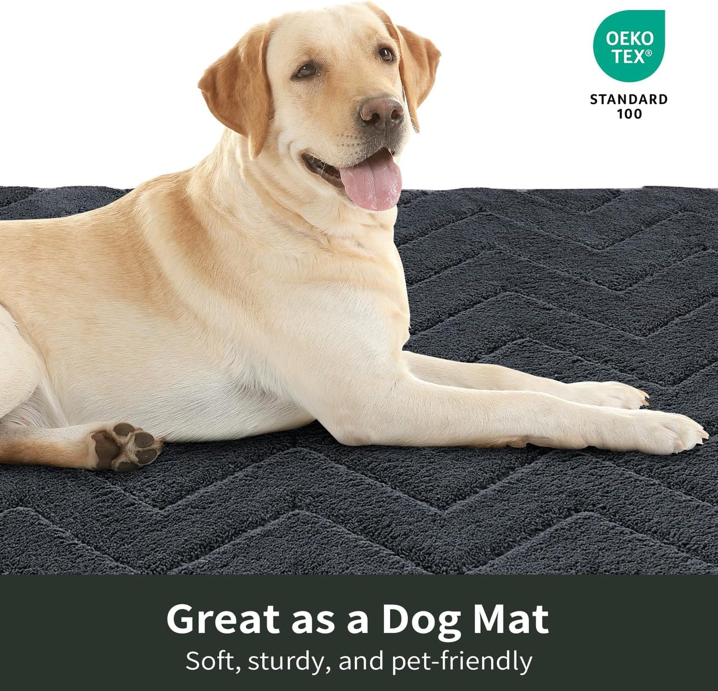 Stiio Dirt Trapper Door Mat 24x35.5 Inches, Front Doormat Indoor Outdoor Entrance Low Pile, All-Season, All-Weather Absorbent Entry Rug, Washable Non Slip Rug for Entryway, Dark Grey