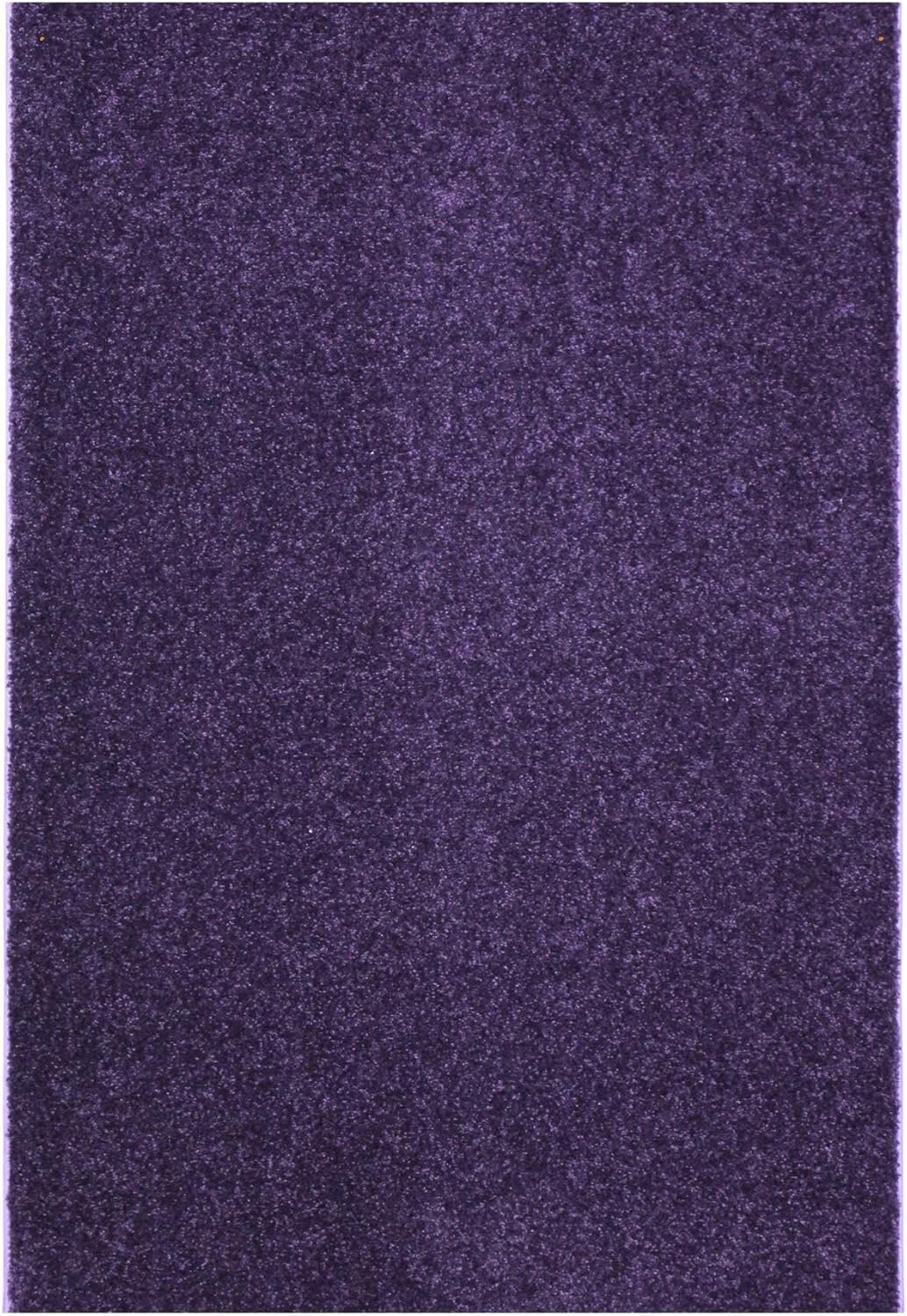 KOECKRITZ Soft and Colorful Kids Classroom Area Rugs (Passes Flammability Pill Test) Many Sizes and Bright Colors to Select from (4' x 6', Eggplant)