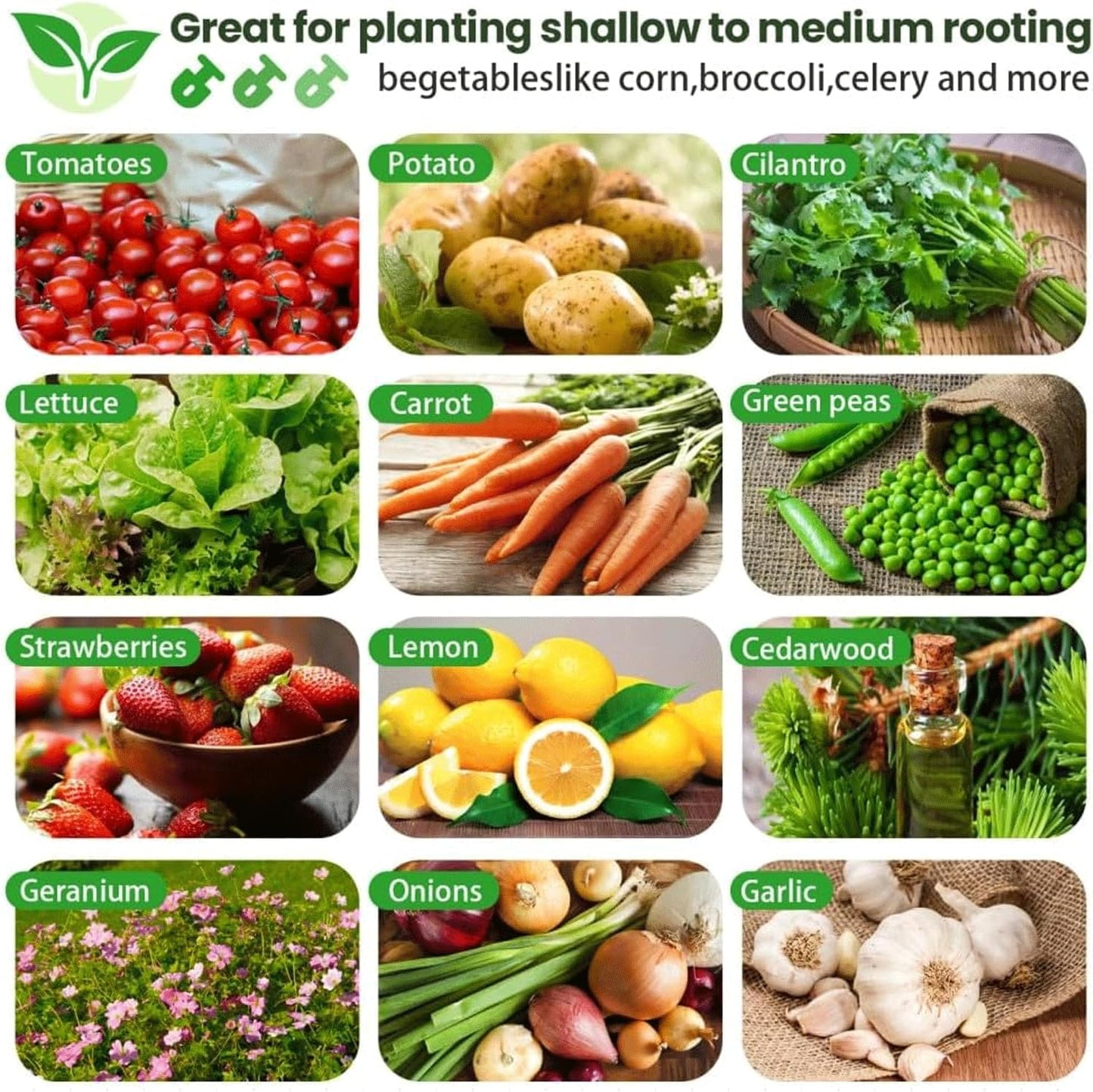 2 Pack 8x2FT Tall Galvanized Raised Garden Bed Outdoor,Metal Garden Bed for Vegetables,Steel Raised Beds for Gardening,Above Ground Garden Box for Flower-DW5