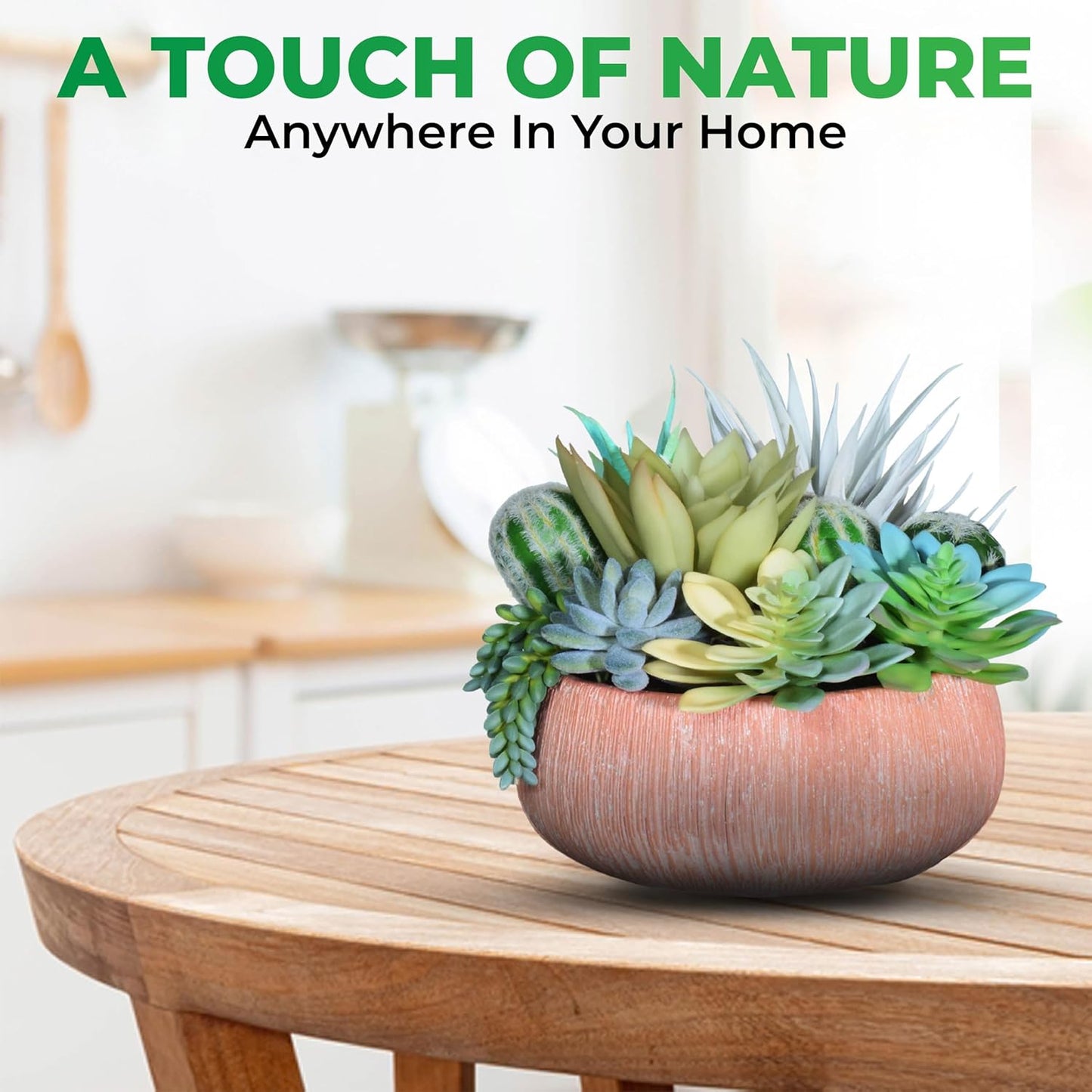 Premium Assorted Artificial Succulent Collection - Large Real Touch Artificial Cactus, Aloe Vera & Succulent Plants Artificial with Pots for Home Office Indoor (Artificial Coconut Shell - Pot)